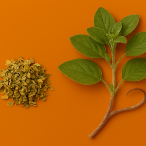 Oregano Leaf