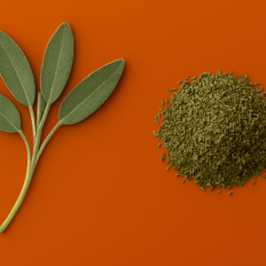 Sage Leaf